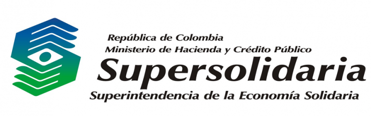 supersolidaria-dynastykin